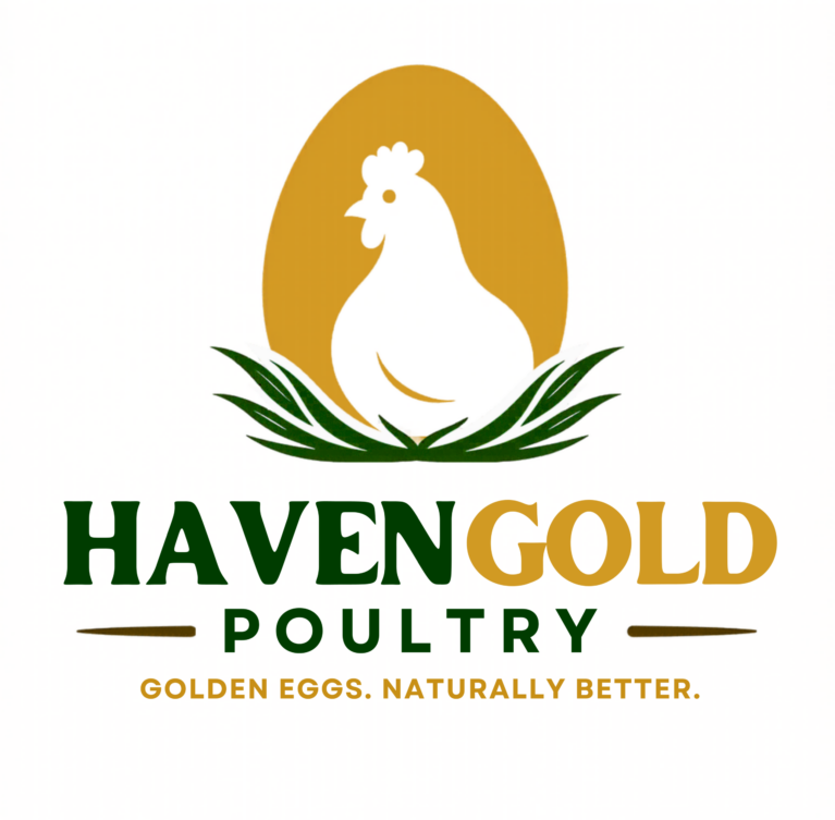 Havengold Farm offers professional poultry farming services focused on both layers and broilers, ensuring a steady supply of fresh eggs and quality chicken. The poultry unit is managed under strict hygiene, proper feeding programs and controlled housing to support healthy growth and high productivity.